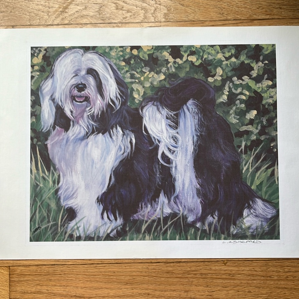 TIBETAN TERRIER dog portrait art canvas PRINT of LAShepard painting